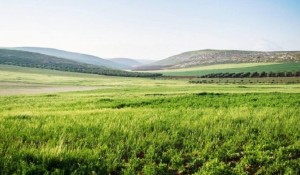 طقس ربيعي دافئ الأربعاء