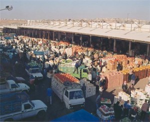 ضبط 67 عامل مخالف ضمن حملات على سوق الخضار ومنطقة شمال عمان