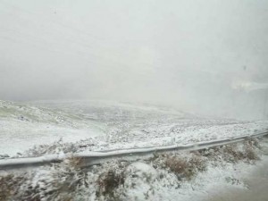 بالصور.. الثلوج تكسو مرتفعات الطفيلة واغلاق جزئي لبعض الطرق في المناطق الجنوبية