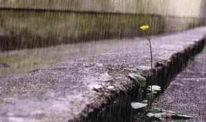 الأربعاء .. تجدد هطول زخات رعدية متفرقة من المطر