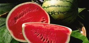 هام للنساء الحوامل .. تناولن البطيخ بكثرة