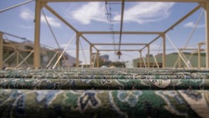 ما لا تعرفه عن سجاد المسجد الحرام .. رحلة عمرها 40 عاماً