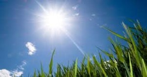 الاحد .. انخفاض على درجات الحرارة وطقس لطيف في معظم المناطق