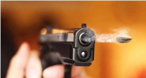 وزير الداخلية: عناصر من الأمن في الأعراس لرصد إطلاق العيارات النارية