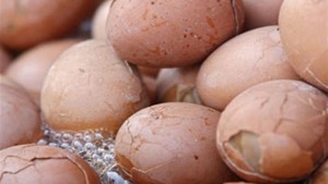 "الغذاء والدواء" :تم إتلاف 100 الف بيضة فاسدة من اصل 300 الف