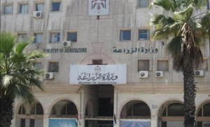 الشحاحدة: وزارة الزراعة ملتزمة بعدم إصدار اي رخص لاستيراد زيت الزيتون