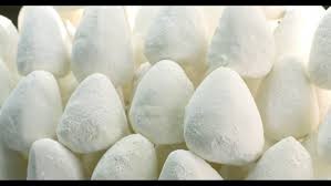 الزراعة: حاجتنا من الجميد 10 اضعاف الانتاج المحلي و الاستيراد يكون حسب احتياجات السوق