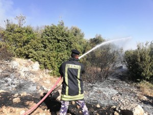 بالصور .. حريق يأتي على 100 دونم من الأحراج في جرش