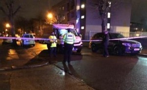 قتلى بإطلاق نار في متنزه بشيكاغو