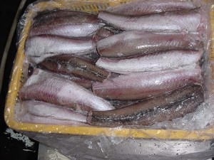 الغذاء والدواء توضح حول ما تم تداوله بخصوص الفيليه و السمك مقطوع الرأس.