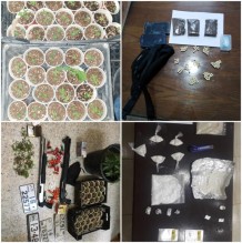 القبض على ٢٩ شخصا بحوزتهم كميات متفرقة من المواد المخدرة والاسلحة النارية