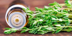 خبراء يحذرون الأردنيين من وصفات أعشاب خطيرة متداولة إلكترونيا