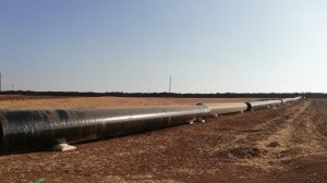 زواتي: ثمن العودة عن اتفاقية الغاز مع "نوبل إنيرجي" 1.5 مليار دولار تدفع مرة واحدة