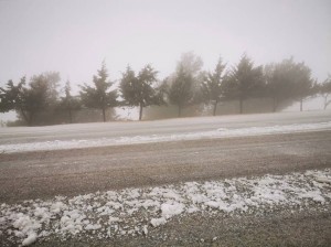 حالة الطرق في المملكة لغاية الساعة التاسعة والنصف صباحا - تحديث