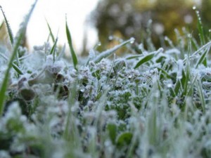 طقس العرب: ذروة موجة الصقيع ليلة الاثنين على الثلاثاء