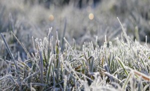 طقس العرب: لا تخرجوا إلا للضرورة القصوى