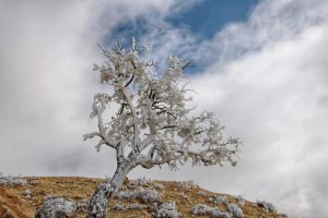 الشاكر .  إنجماد شديد يبدأ مساء ويستمر لصباح الثلاثاء