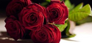 الأردنيون يعزفون عن الورد في عيد الحب