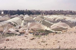 اتحاد المزارعين: وادي الاردن منطقة منكوبة واجتماع طارئ لبحث الاضرار