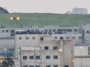 وفاتان اثر اعمال شغب داخل مركز اصلاح وتأهيل اربد