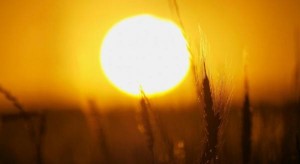 السبت .. انخفاض قليل على الحرارة واجواء حارة نسبيا