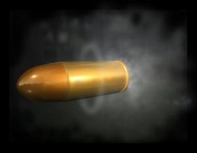 مقتل ٣ شقيقات رميا بالرصاص من قبل شقيقهن في البلقاء ...والامن يحقق