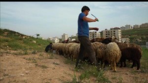 المنايح اول فيلم وثائقي اردني يرشح لتقييم عالمي