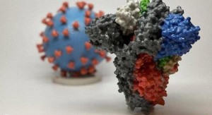 شركس: لا دولة محصنة من سلالة كورونا