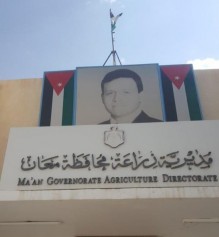 الزراعة: جاهزون .. والجراد يبعد 110 كم