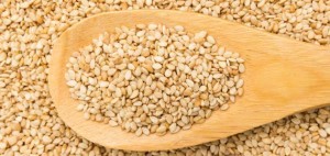 حاويات سمسم مليئة بالحشرات دخلت الأردن