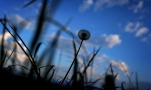 طقس بارد ورطب السبت