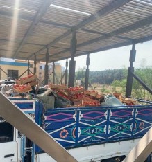 إخفاء أحذية مهربة في شاحنة بندورة