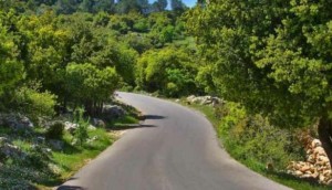 طقس دافئ ومشمس الإثنين