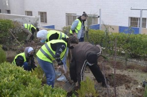 ضمن احتفالاتها بئوية تأسيس الدولة الأردنية وبيوم الشجرة... عمان الاهلية تنظم حملة لزراعة الأشجار برعاية وزير الزراعة