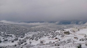 عشيرة الصمادية في عجلون يفتحون ديوان العشيرة وبيوتهم لمن تقطعت بهم السبل