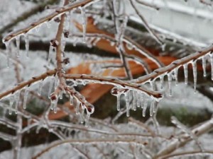 السبت .. طقس بارد جداً وتحذير من تشكل الانجماد