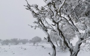 طقس العرب: الشهر الحالي قد يشهد مزيدا من المنخفضات