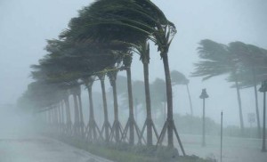 الأردن ينتظر رياحا عاتية مساء اليوم وصباح الغد الجمعة