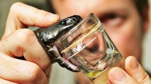 الكرك.. الإعدام لشخص سمم شقيقته ثم خنقها وأغرقها