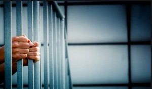 الحكومة: تأجيل حبس المدين لا يؤدي إلى ضياع الحقوق