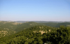 العثور على سائحين تائهين في غابات برقش