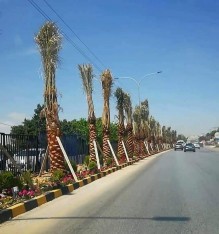 لفتة جميلة وراقية  من جامعة عمان الأهلية....  كتب : علي حياصات