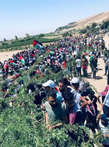 الفراية يدعو لعدم الاقتراب من المواقع الحدودية