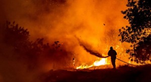 الخارجية : لم نبلغ عن إصابة أي أردني بحرائق غابات قبرص