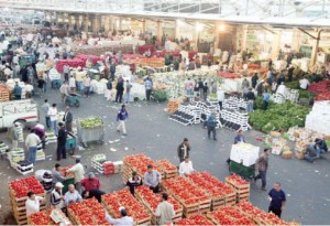 الشواربة يعفي مدير سوق الخضار المركزي من منصبه