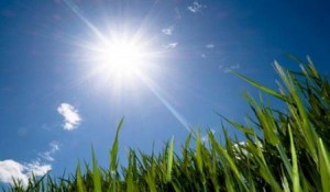 أجواء حارة في جميع مناطق المملكة السبت