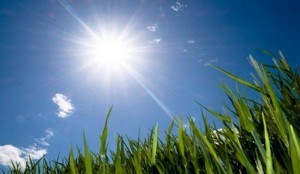 آجواء صيفية عادية في المرتفعات والسهول وحارة في باقي المناطق حتى الاثنين