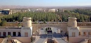 العلوم والتكنولوجيا ضمن أفضل 500 جامعة في العالم