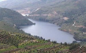 امين عام وزارة المياه ينفي تبادل الكهرباء مقابل المياه مع سوريا