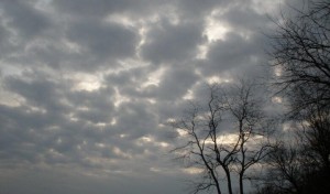 أجواء مائلة للبرودة ليلاً